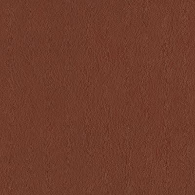 Sienna earth nappa album colour swatch