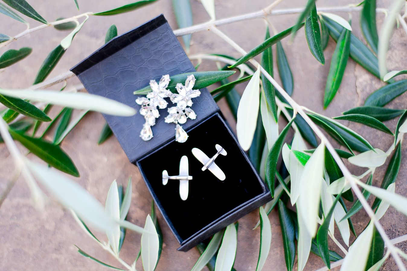 wedding earrings and airplane cufflinks sitting in olive leaves for NorCal wedding in the fall