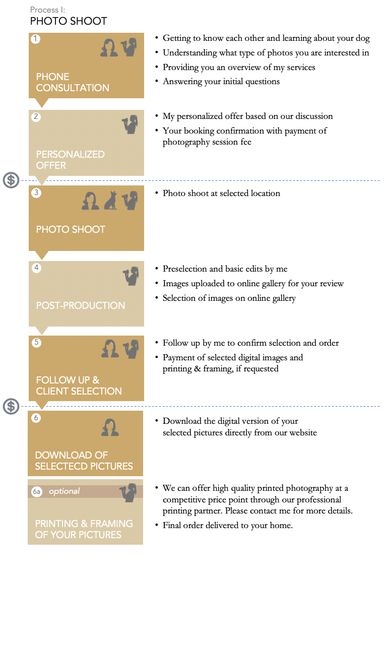 Inforgraphic Graphic Explaining a Regular Photo Shoot by Leslie Argote