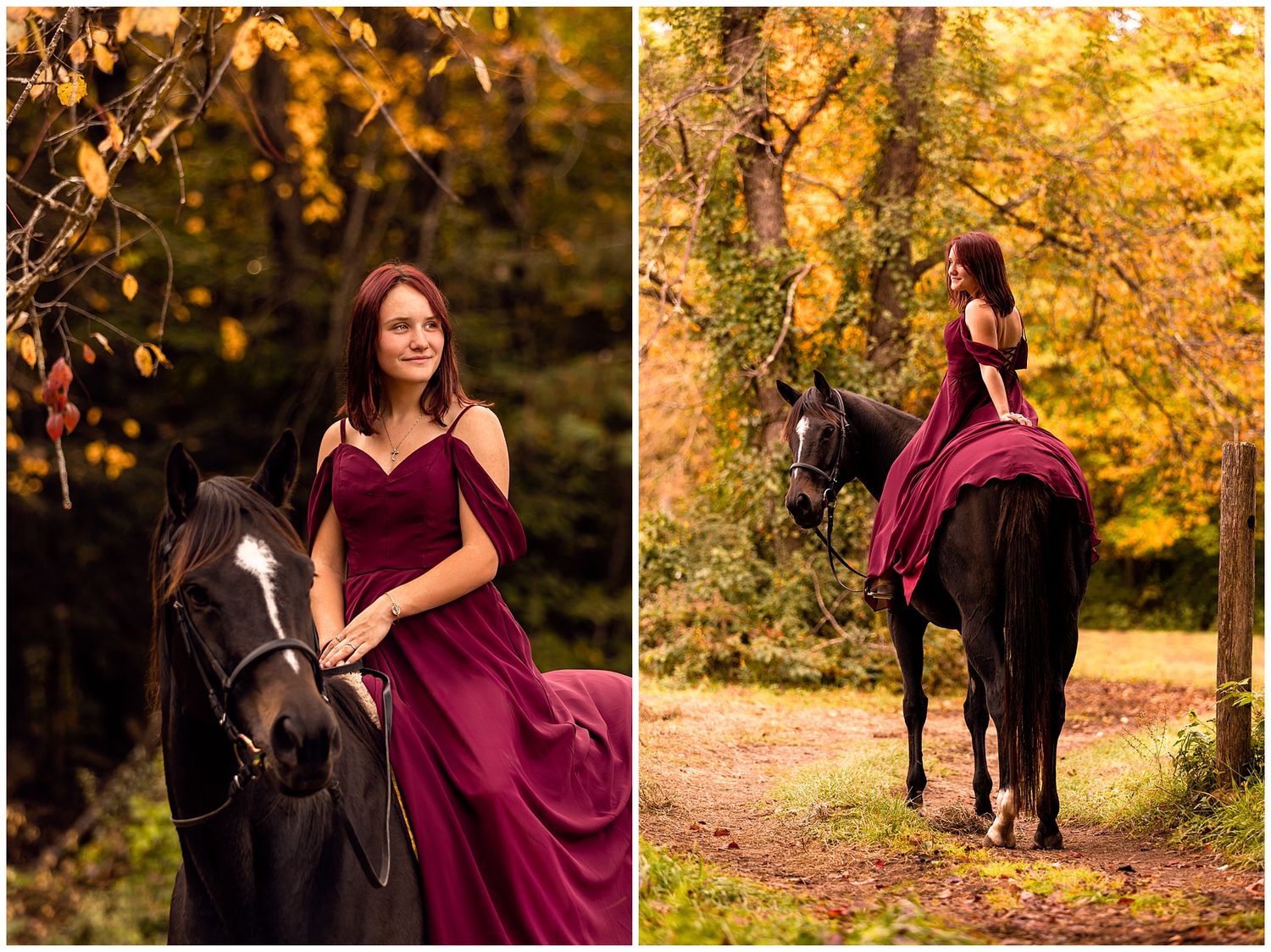 fairytale equine photoshoot off the track thoroughbred