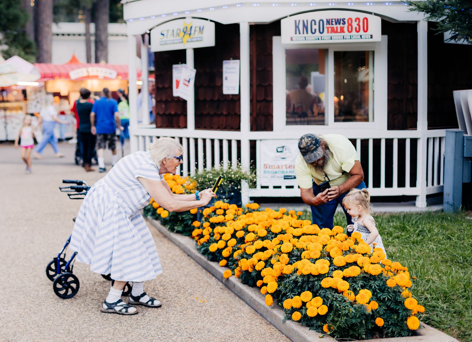 A grandparent takes a photo of a toddler over a flowerbed of marigolds at the Nevada County Fair | Lenkaland Photography