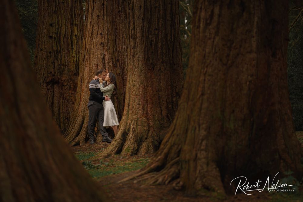 Coombe Abbey Park Engagement Photography Shoot