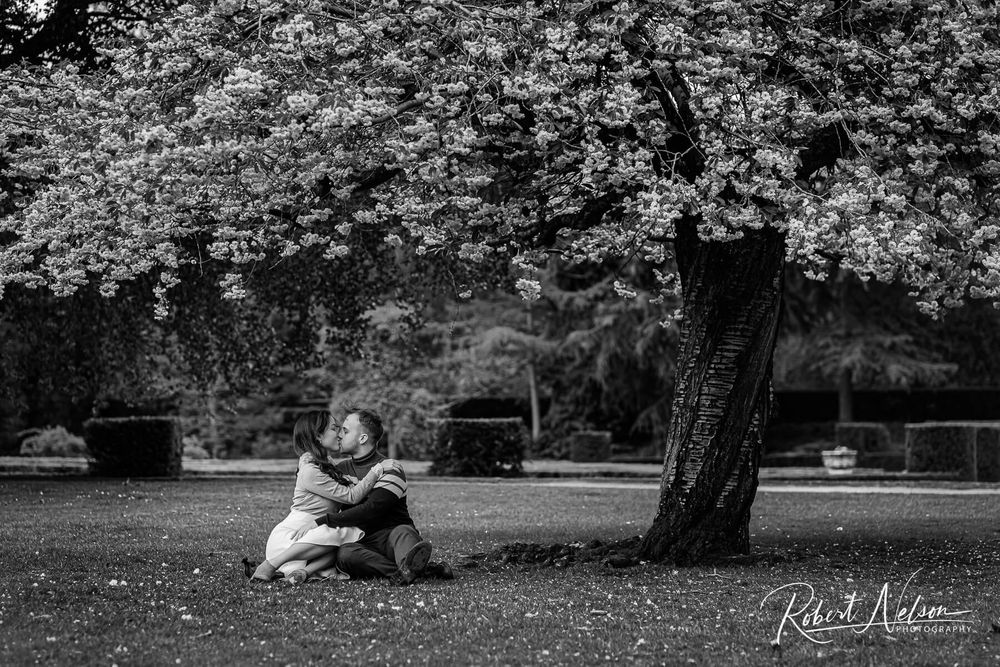Coombe Abbey Park Engagement Photography Shoot