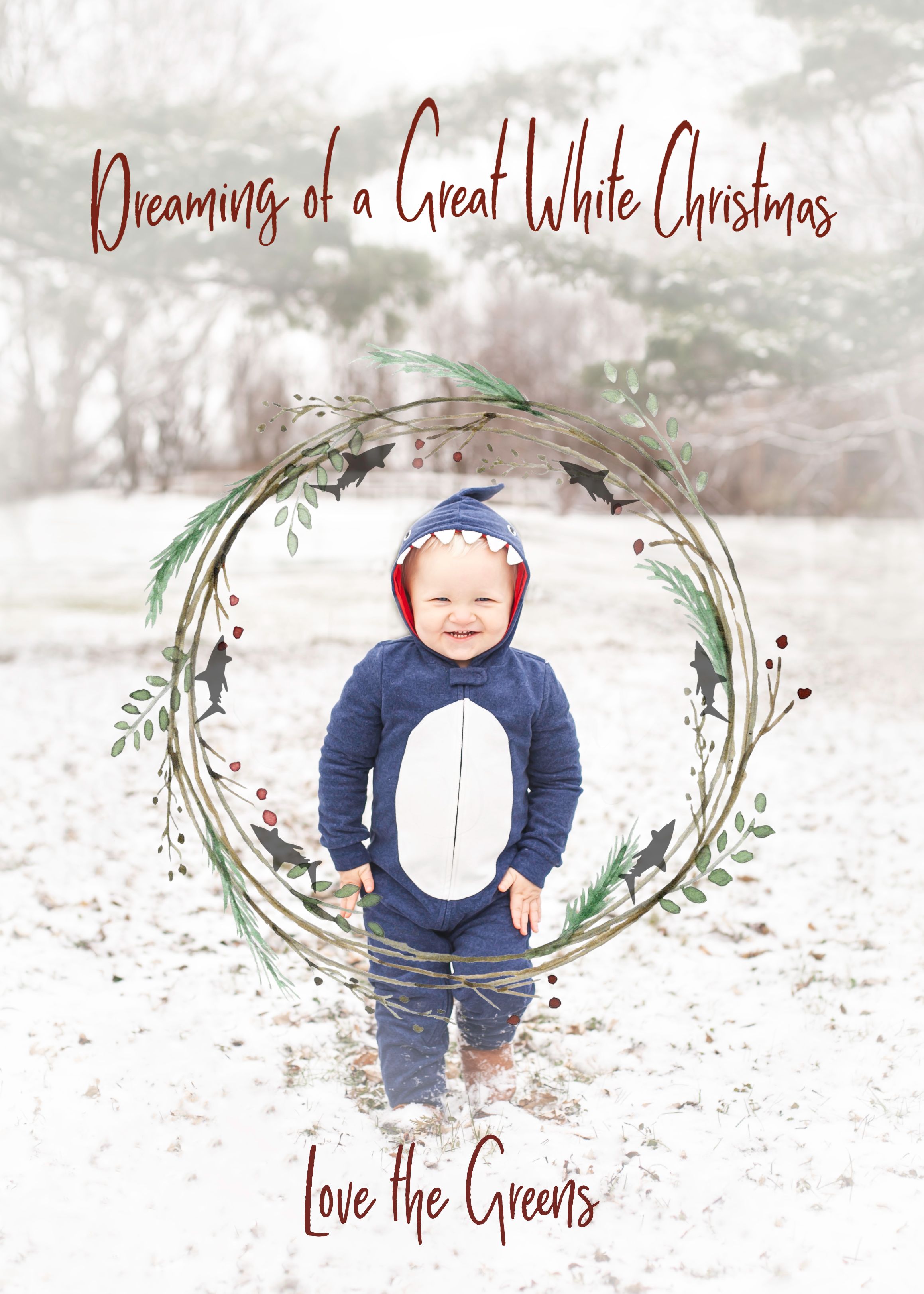 Dixon IL, Family Photographer