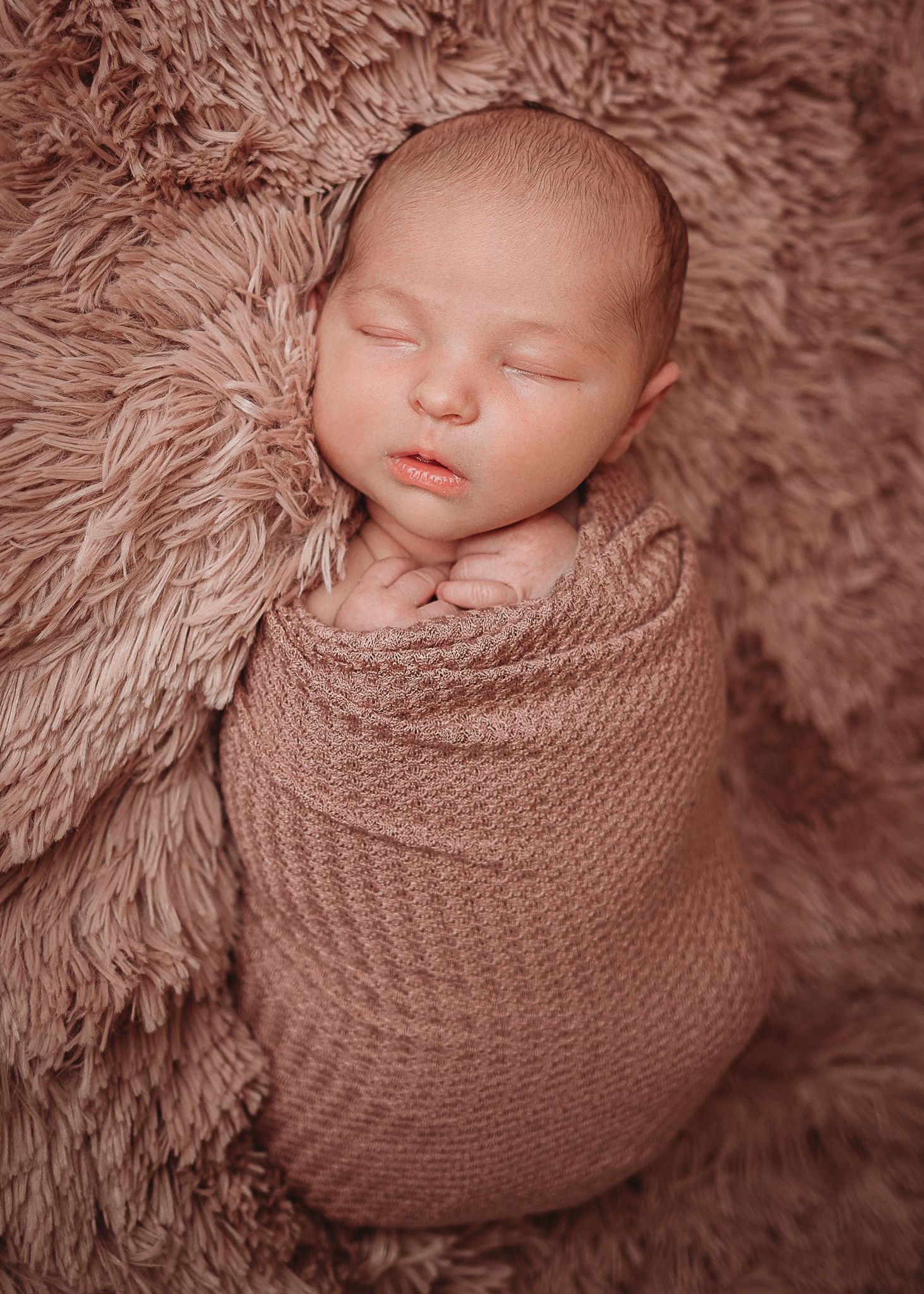 Professional newborn photo
