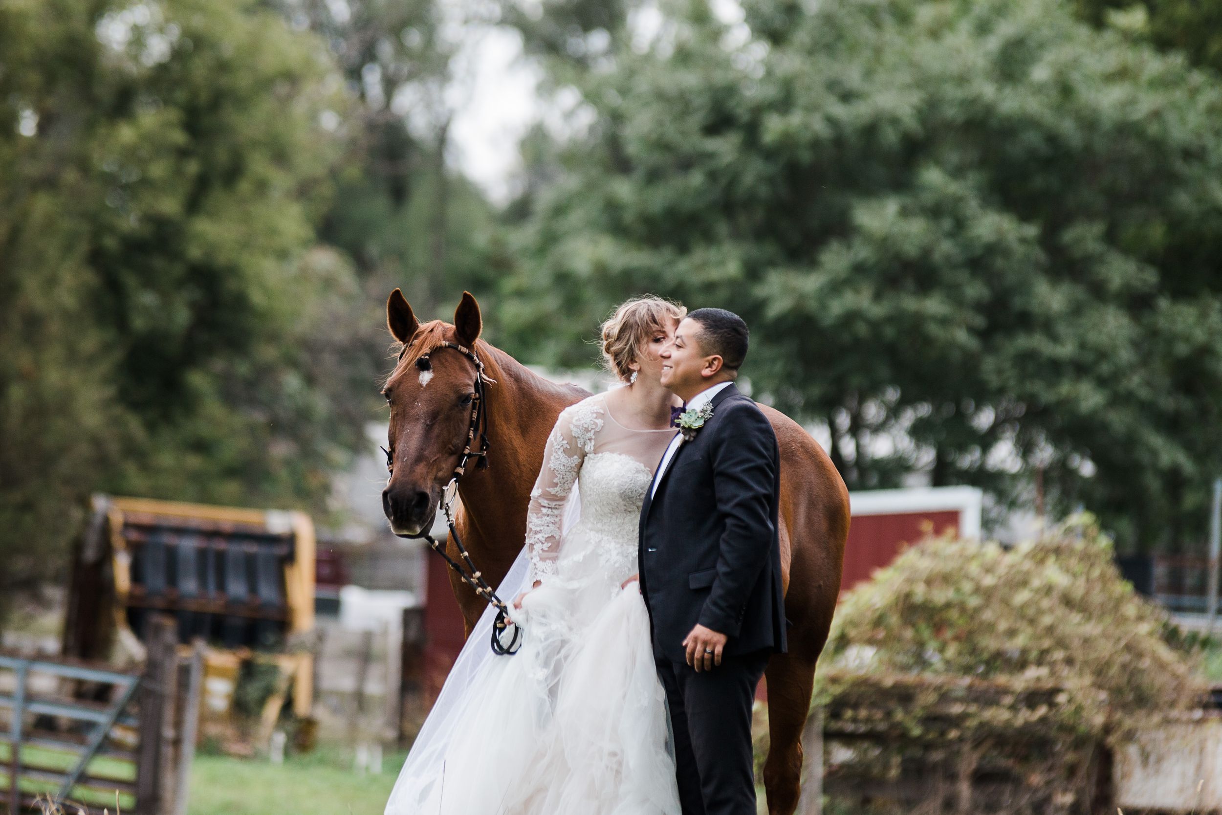 Bride and groom with horse by Hudson Valley wedding photographer