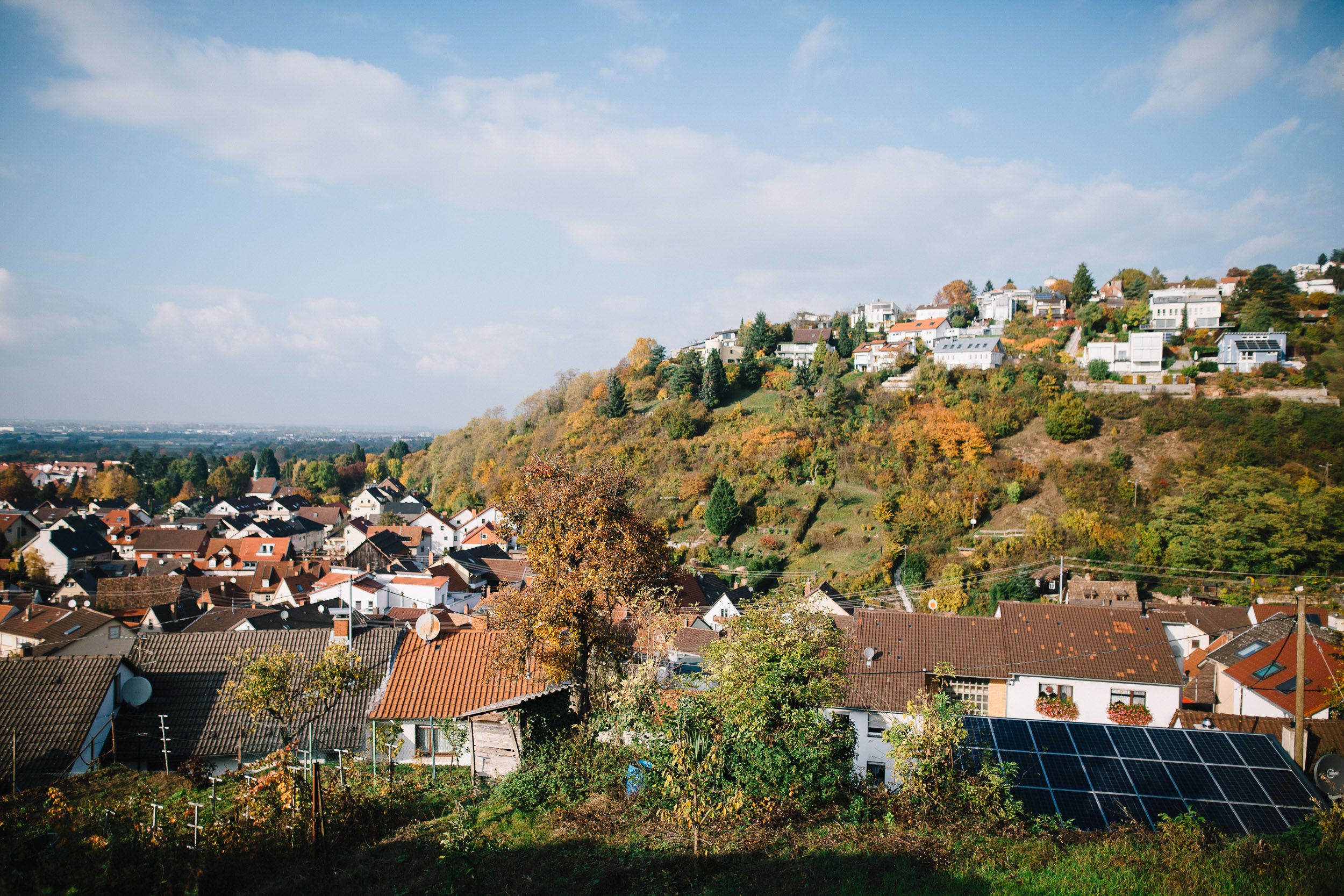 Blick auf Schriesheim und den Branich