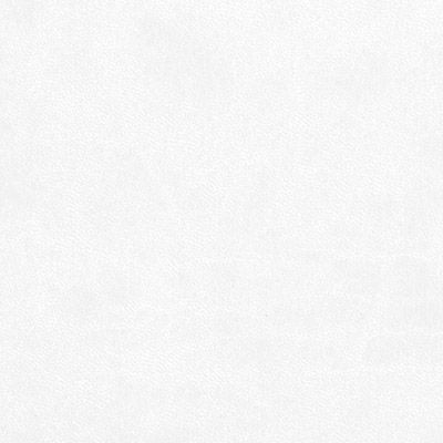 white cloud leatherette colour swatch