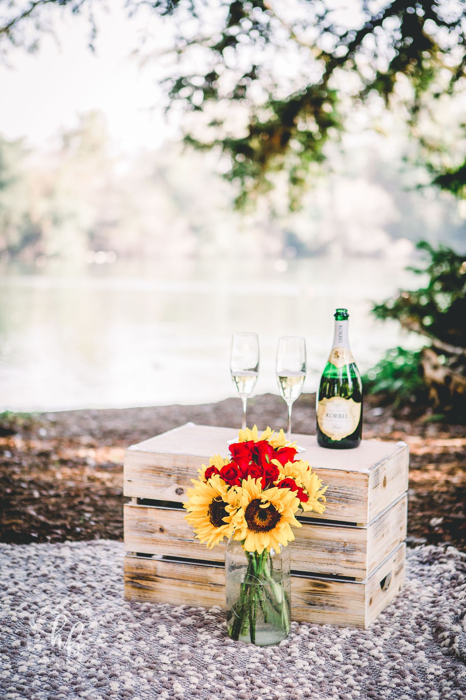 lakeside proposal engagement photos