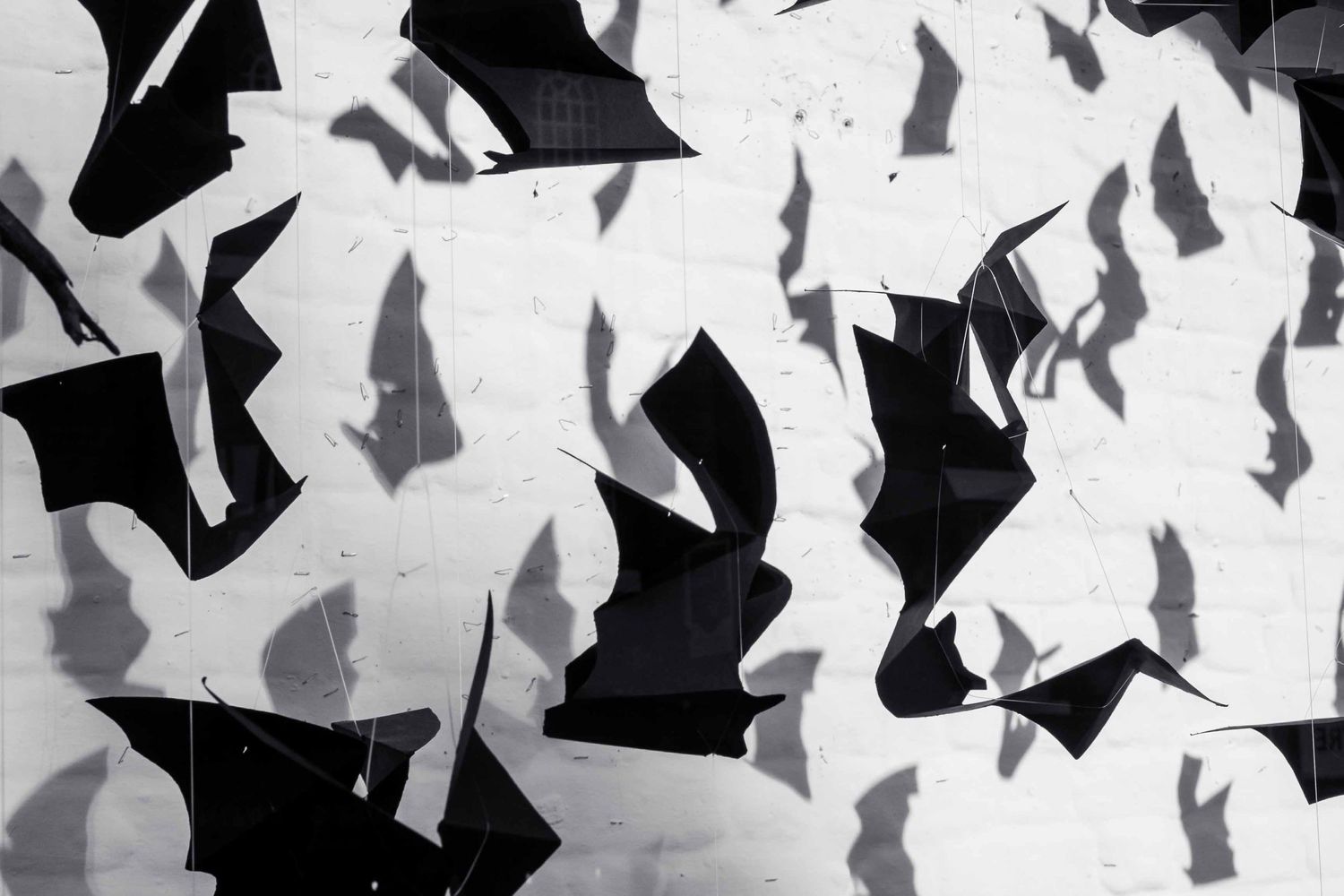 photograph of bats, black and white, light and shadows on wall