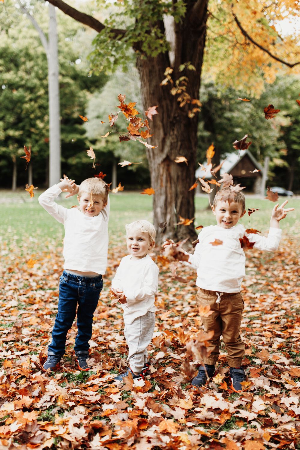 family fall children child portraits bound and branch photography