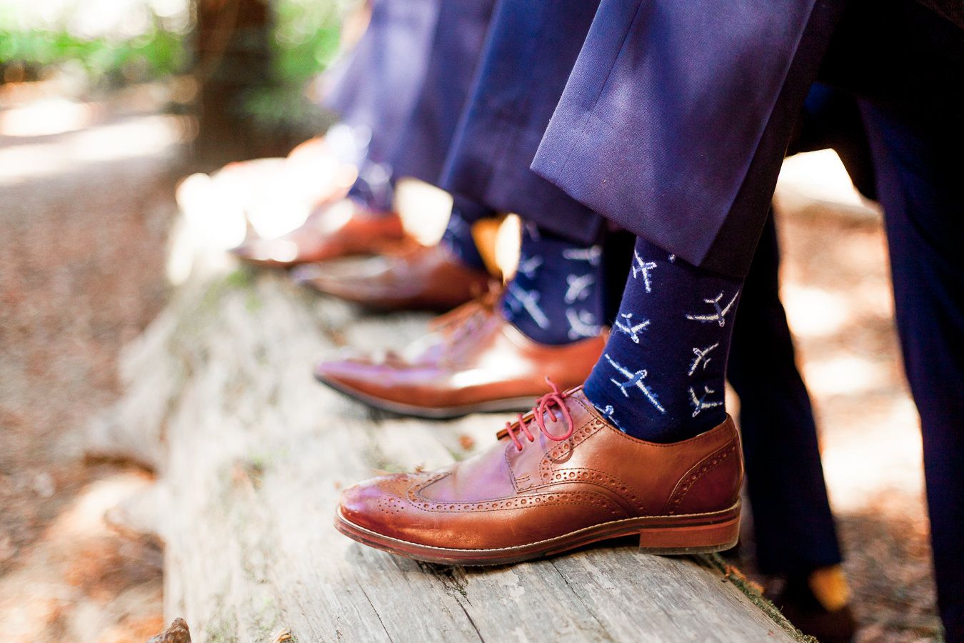 navy socks with airplanes and brown shoes on fallen redwood tree