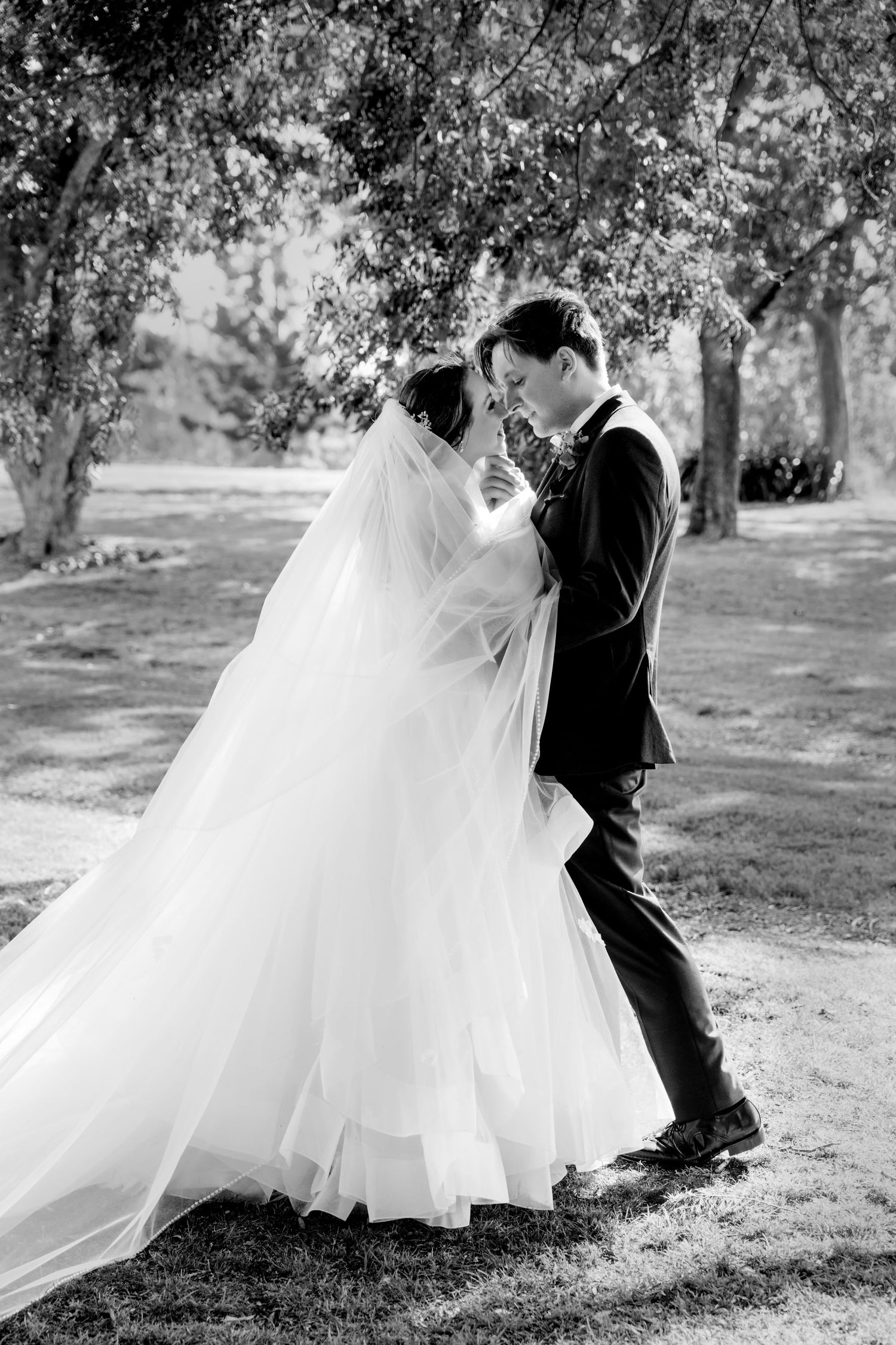 A romantic black and white wedding portrait of newlyweds under trees in a park setting.