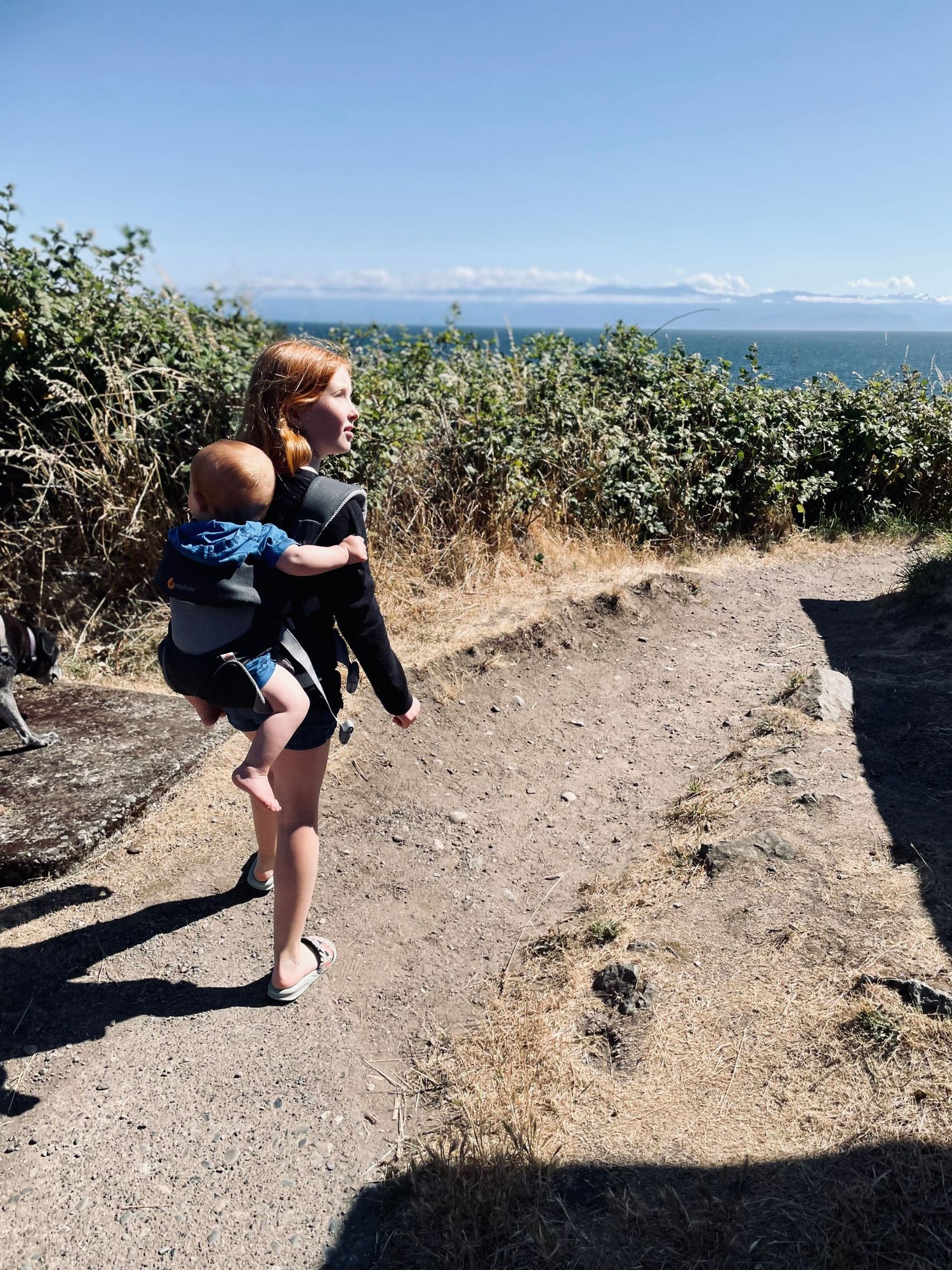 Person holds child while standing on coastal hiking trail with ocean views.
