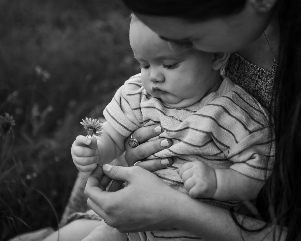 A black and white photograph of a small child in a striped shirt examining a delicate daisy flower.