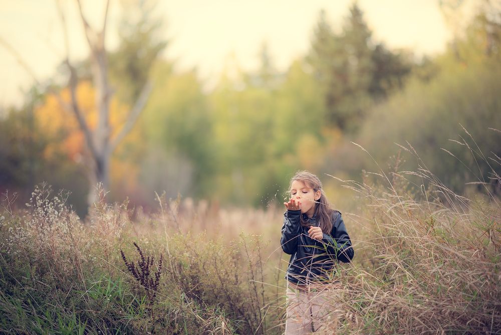 Life style kids and family session with a girl during the sunset in the Fields in Richmond Hill