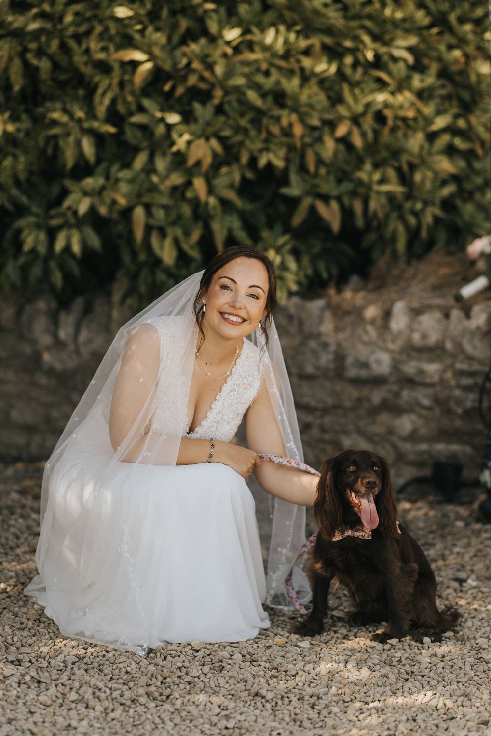A bride in a white wedding dress poses with her brown dog on gravel path under lush green foliage.