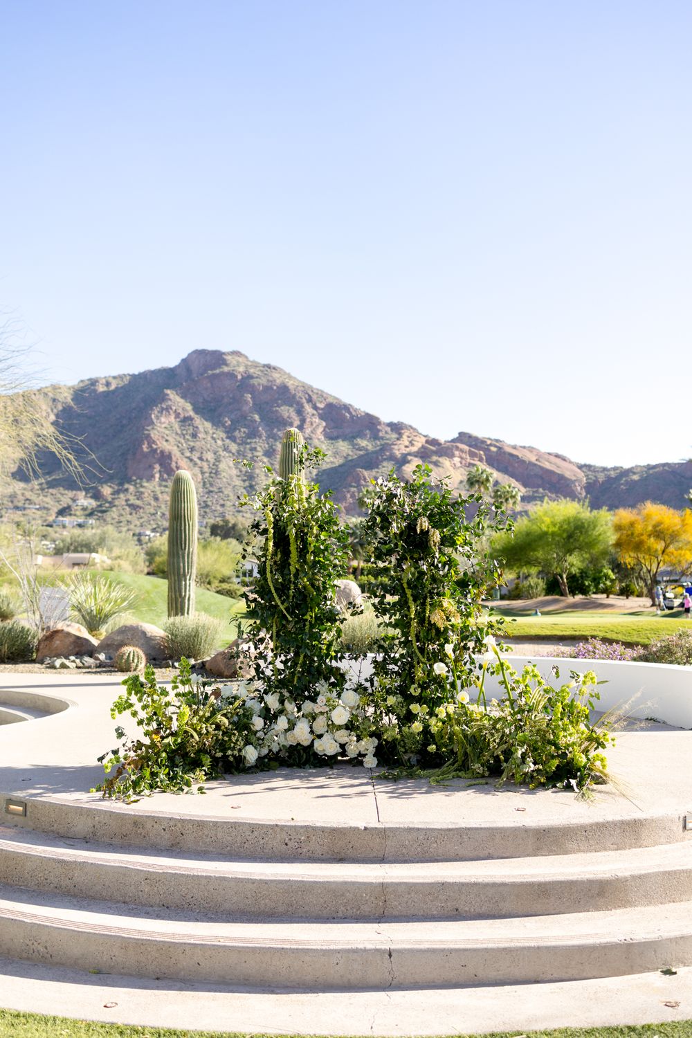 Curved concrete steps lead to a desert landscape garden with saguaro cactus and white flowers against mountain backdrop.