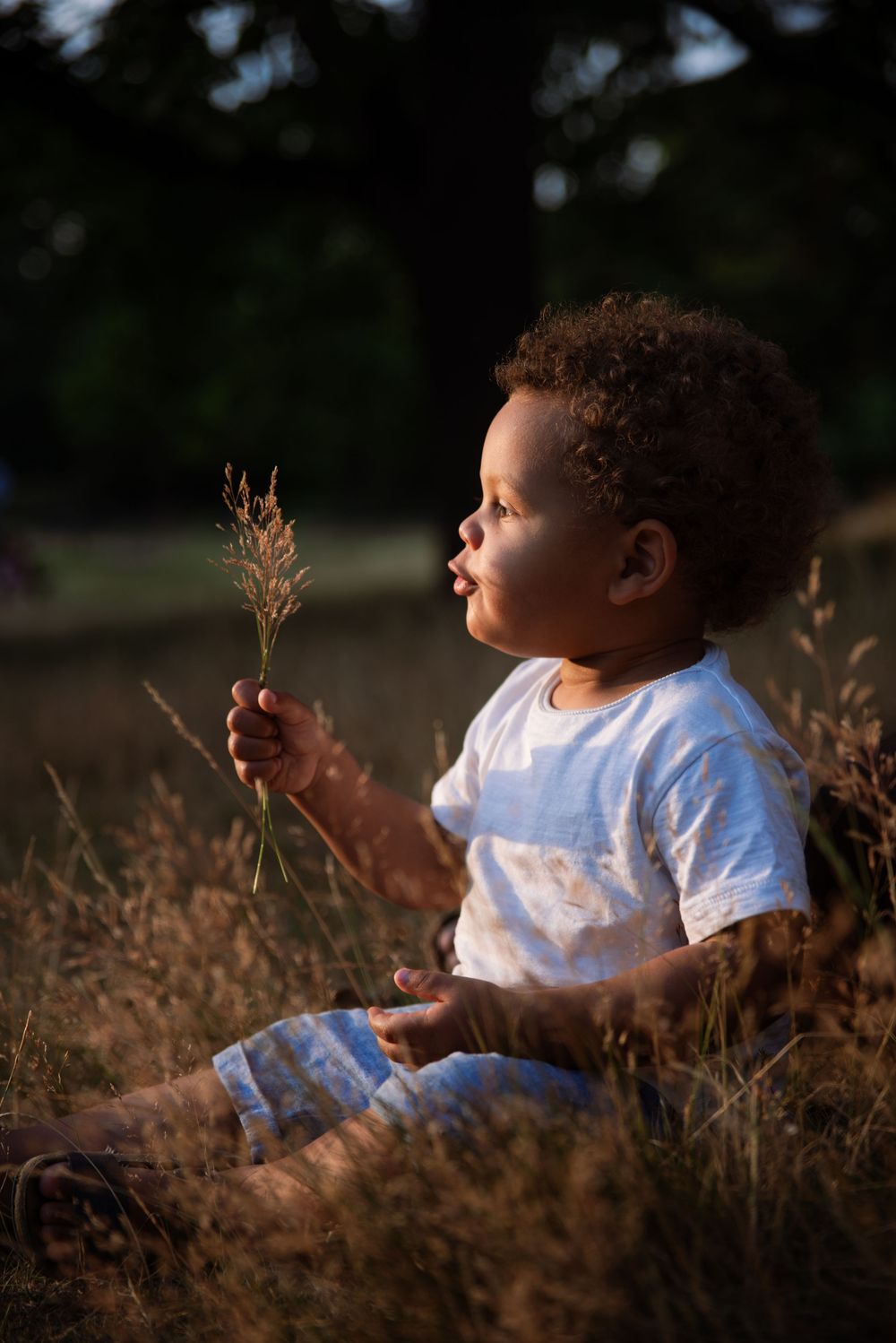 A toddler in white sits among tall dried grass during golden hour backlit by natural sunlight.