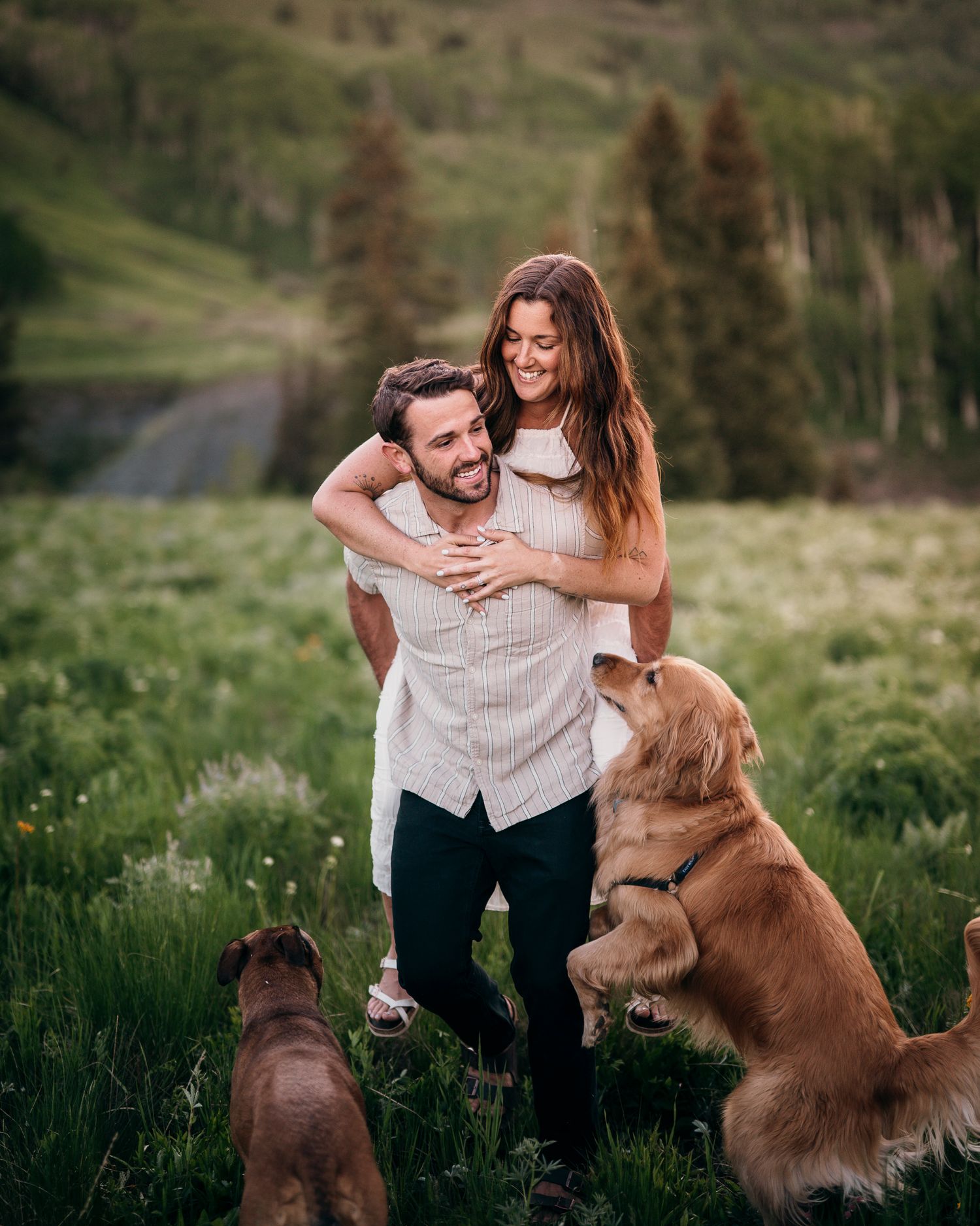 Playful moment with couple and golden retrievers in mountain meadow surrounded by pine trees.