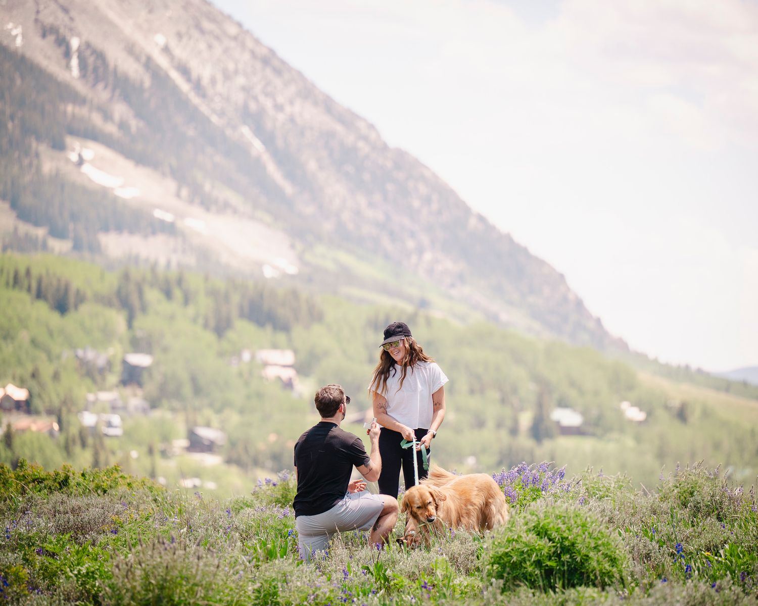 Mountain landscape with couple and dogs enjoying nature on a grassy hillside.