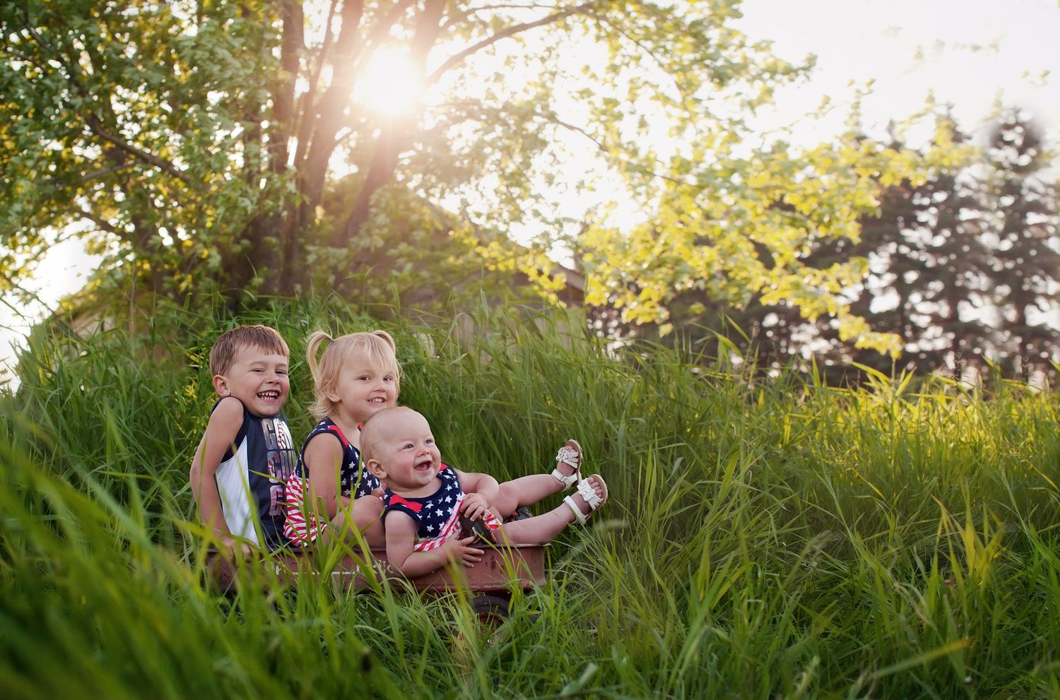 Children sitting together in tall summer grass at sunset with sunlight streaming through trees in background.