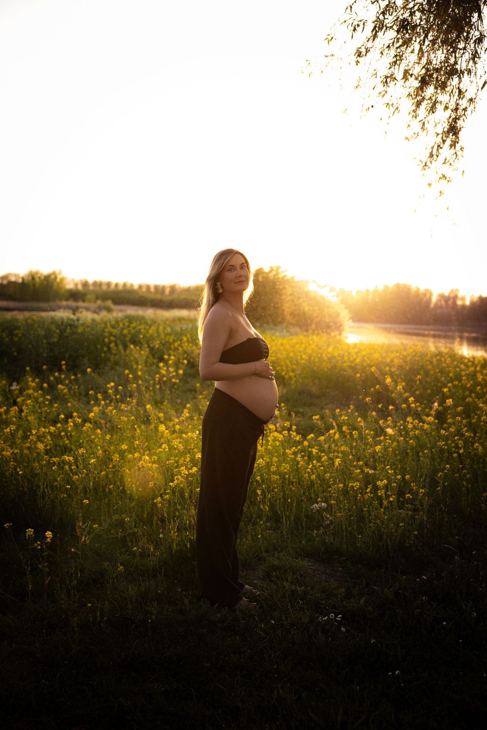 Silhouette of an expectant mother standing in a golden field of wildflowers at sunset.