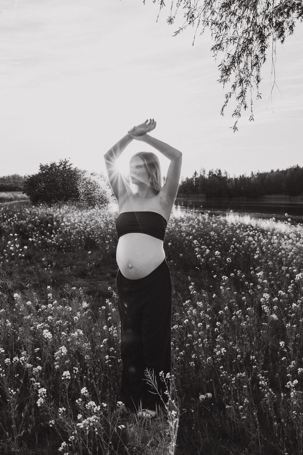 Black and white artistic photo of pregnant figure in floral field at sunset with sun flare and overhanging tree branches.