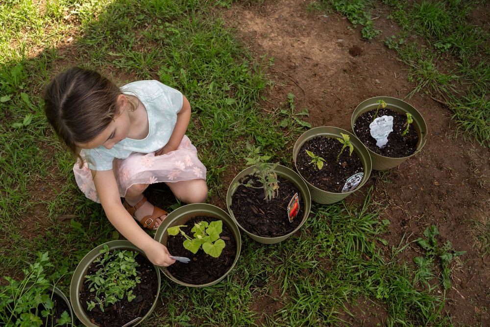 Girl shows of vegetable plants during documentary family photography session