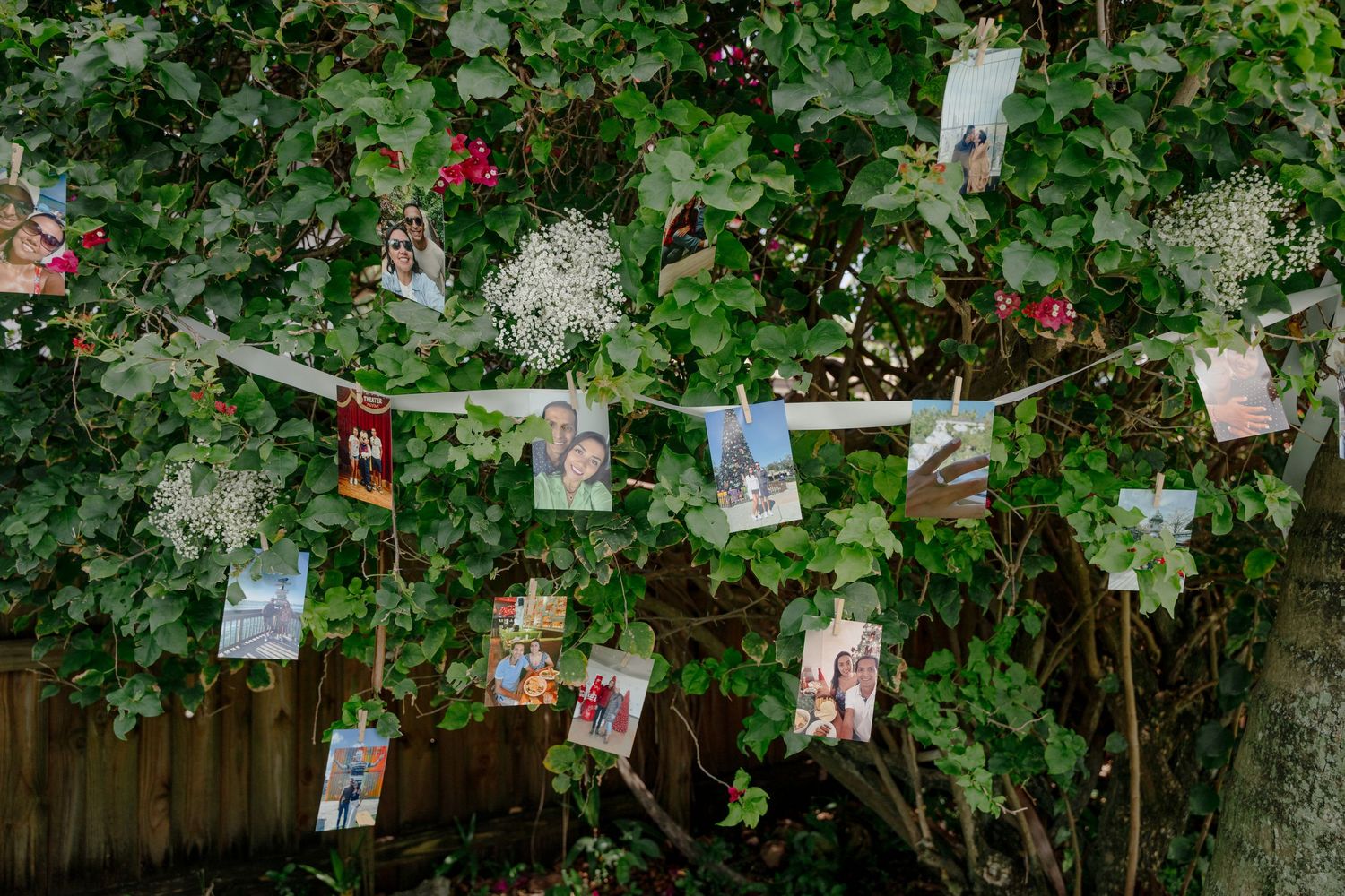 String of vintage photographs hanging on a clothesline against a lush green foliage background in a garden setting.