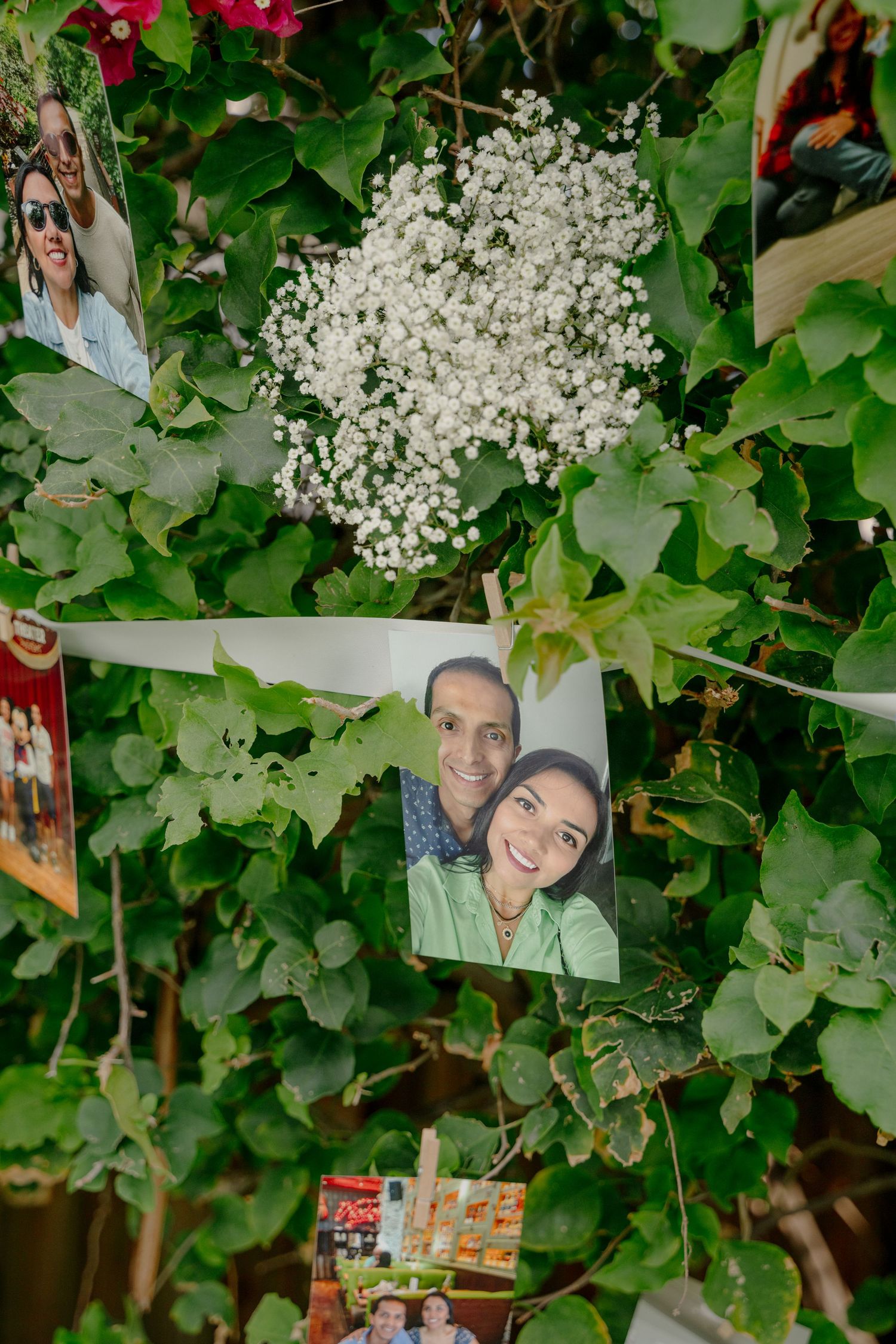 Photos displayed among green ivy leaves and delicate white baby's breath flowers creating a natural garden collage.