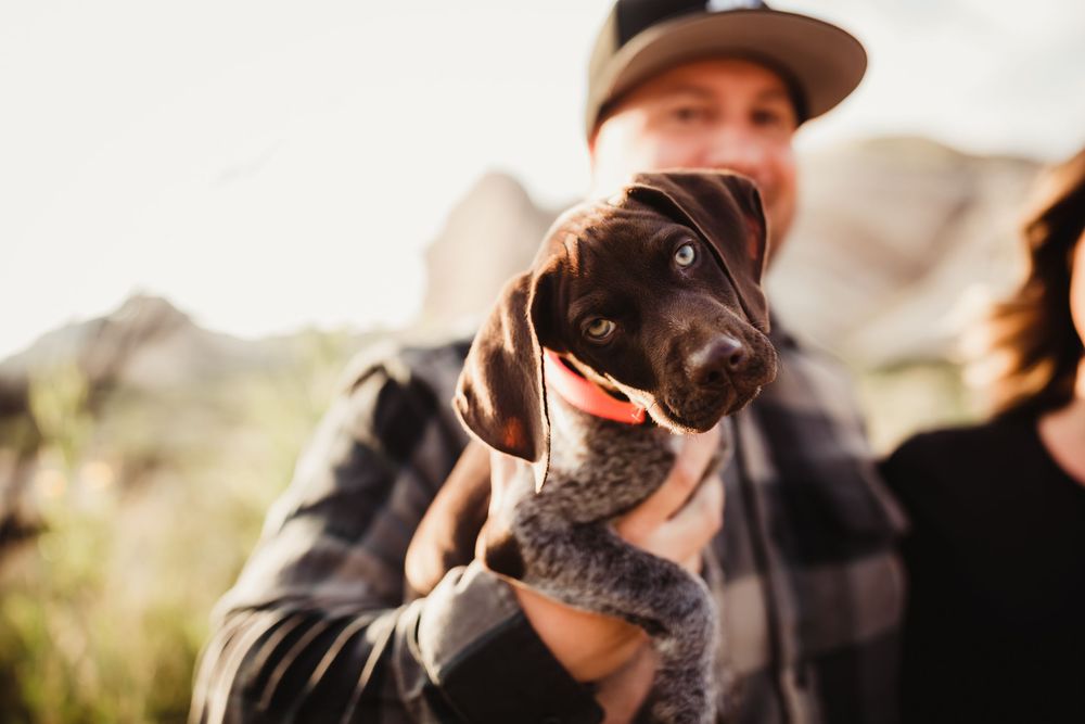 Two people and their dog cuddling together on natural desert rocks during a photo session.