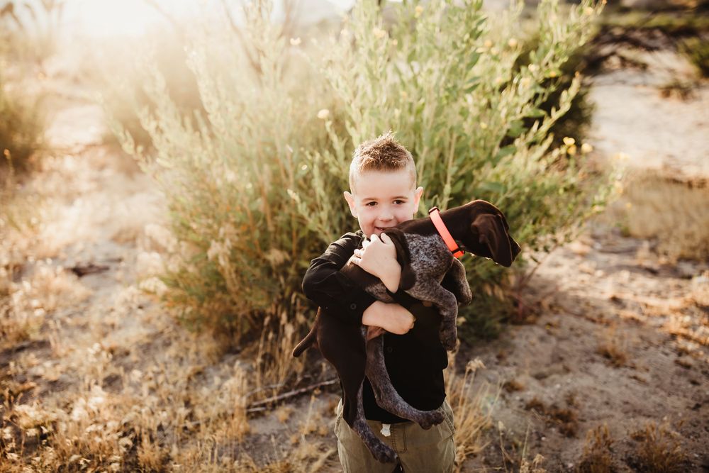 A golden sunlit scene in a desert landscape with a child and a small dog among desert brush.