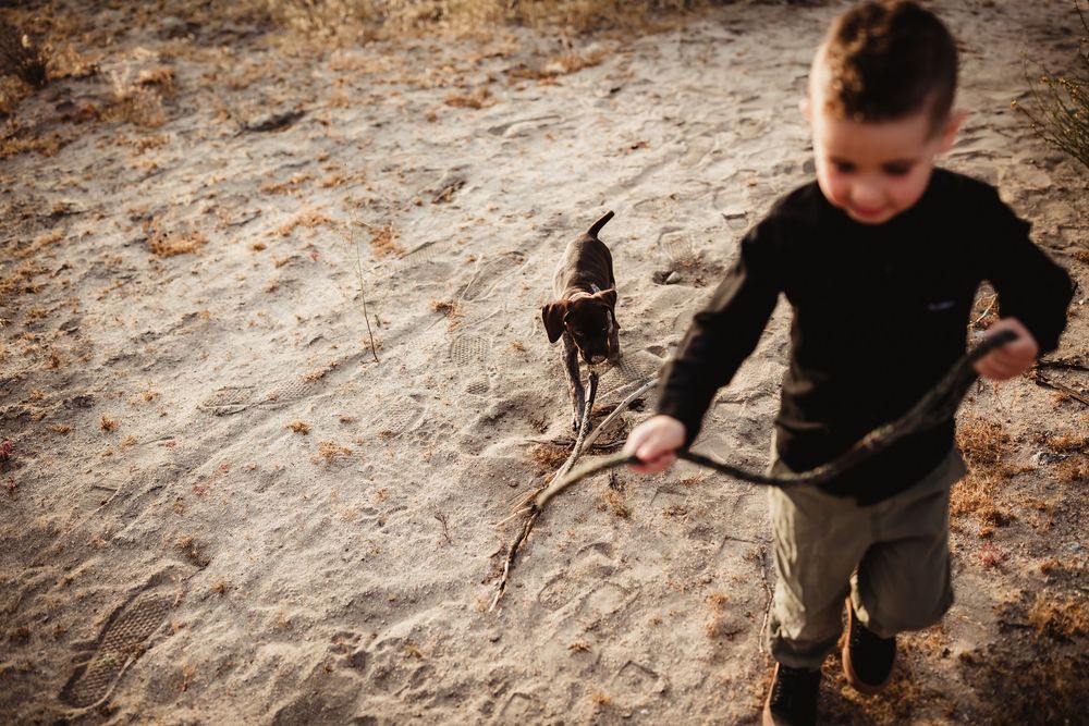 A child plays with fallen autumn leaves on the ground while wearing a dark long sleeve shirt.