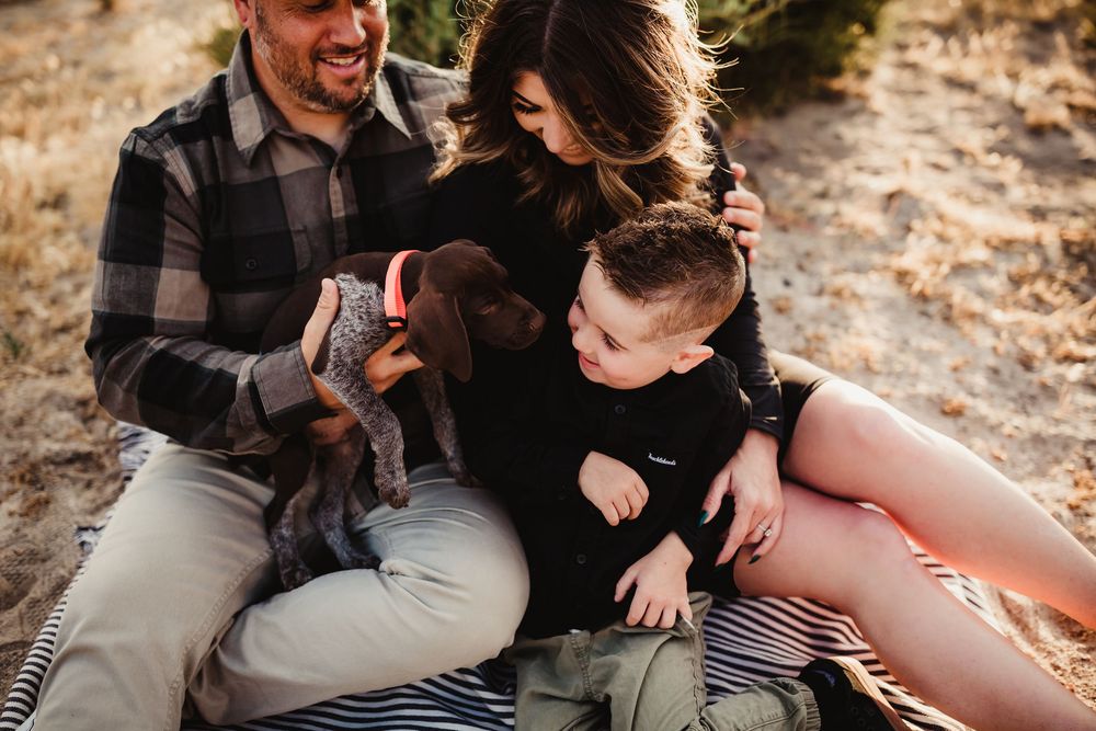 A family sits on a blanket in the desert with their chocolate lab puppy.