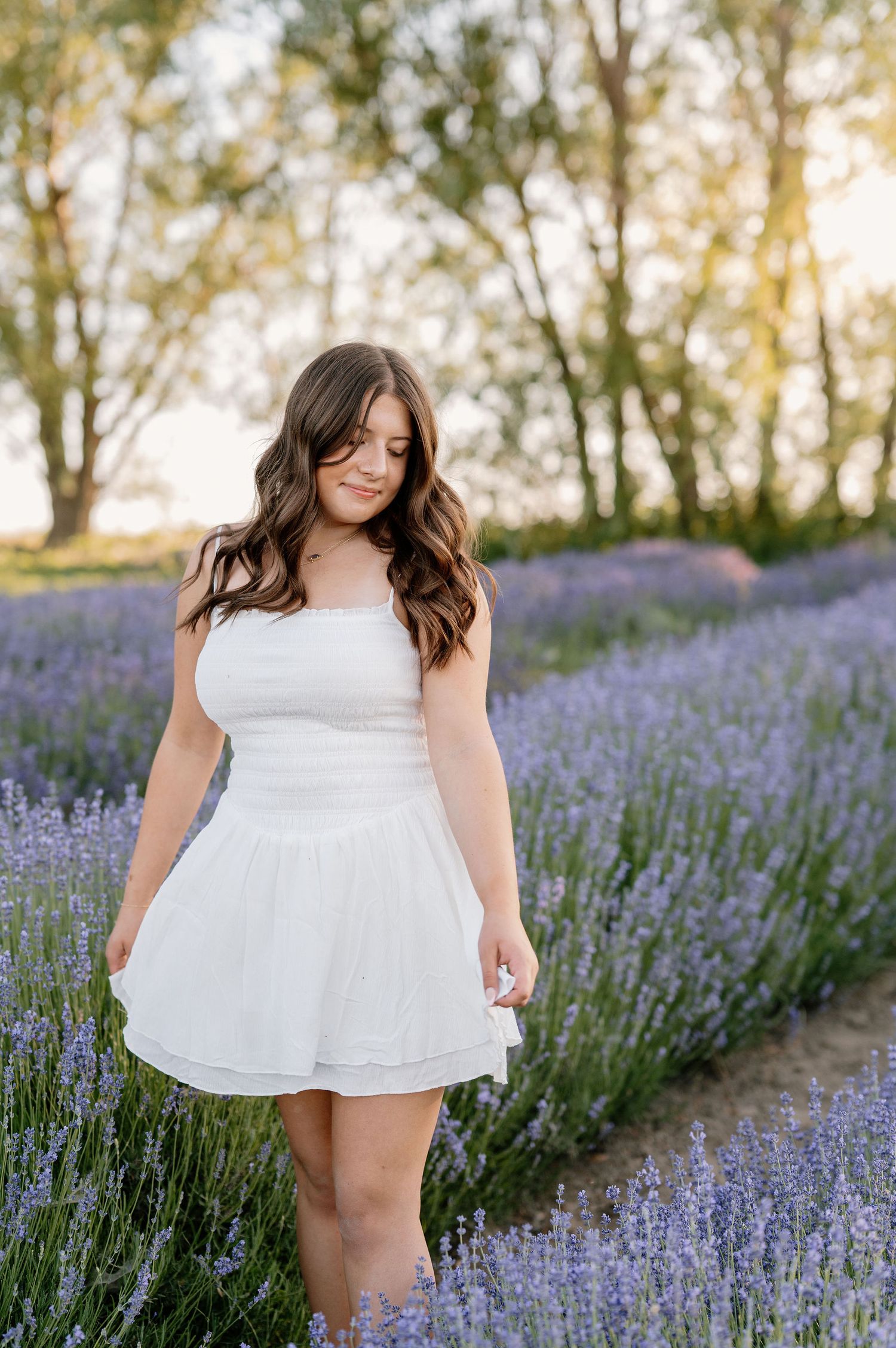 Lavender field senior photos in Walla Walla