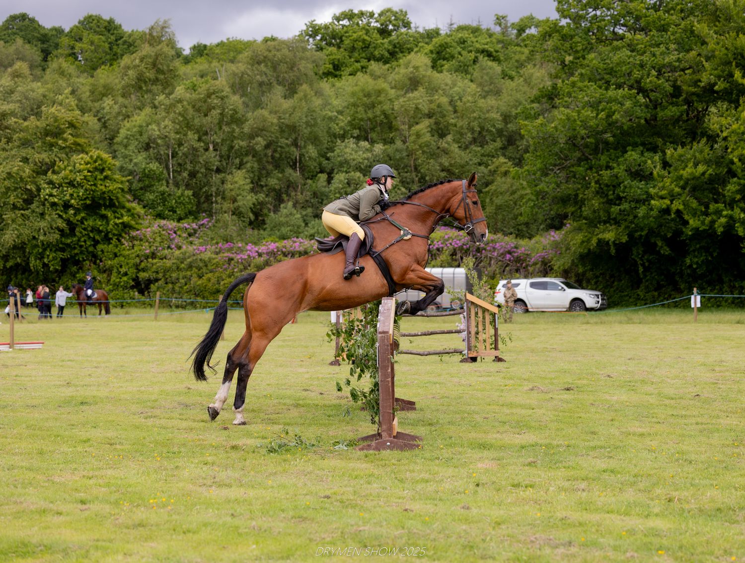 A bay horse and rider clear a wooden jump during an equestrian competition on a grassy field surrounded by trees.