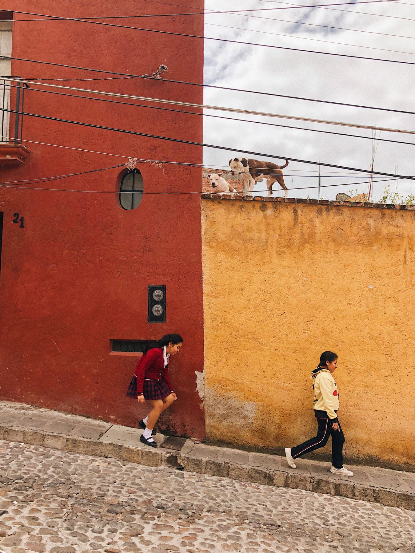Two people walking on cobblestone street with red and yellow walls and a dog on rooftop.