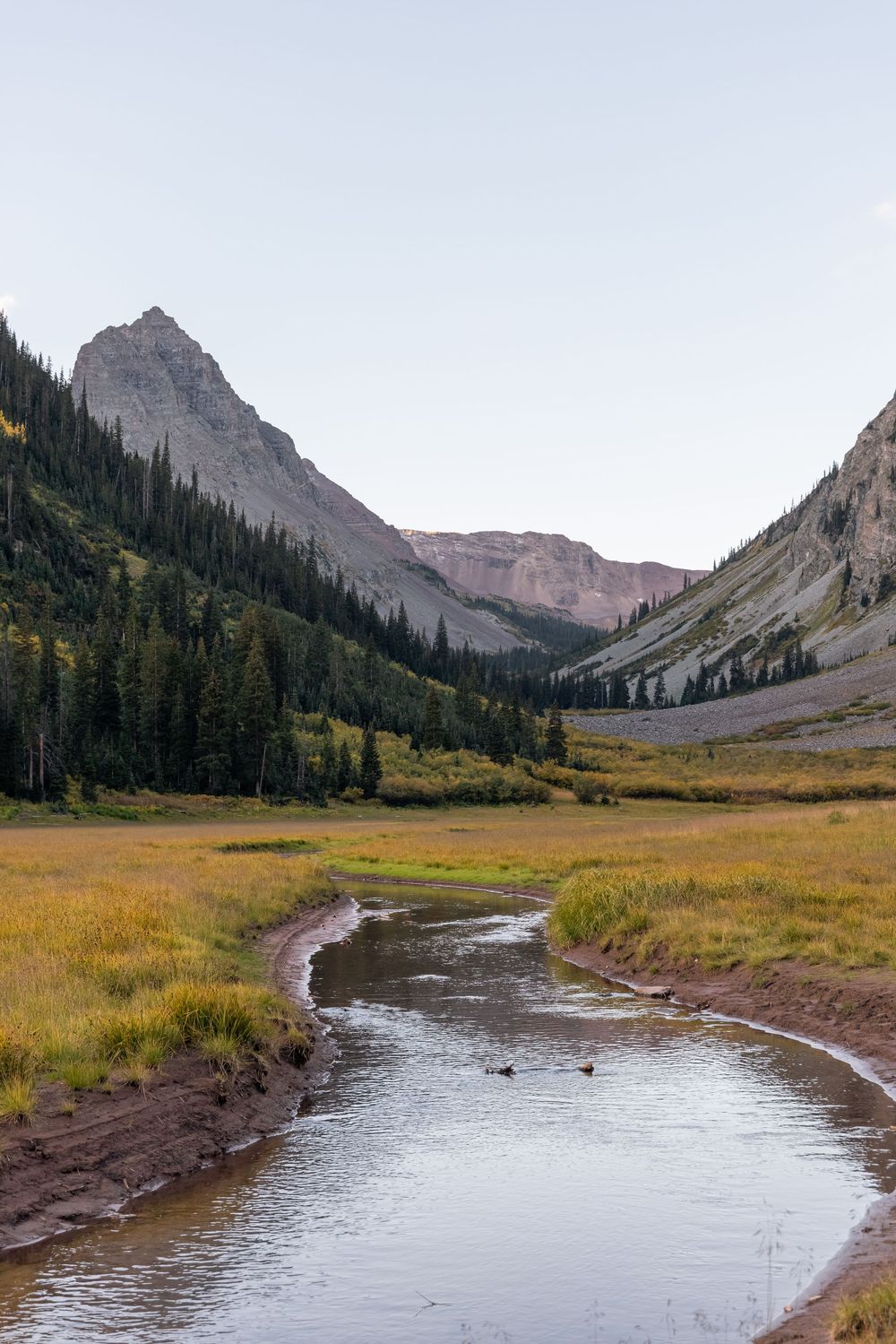 A winding mountain stream flows through an alpine meadow with rugged peaks and evergreen trees in the background.