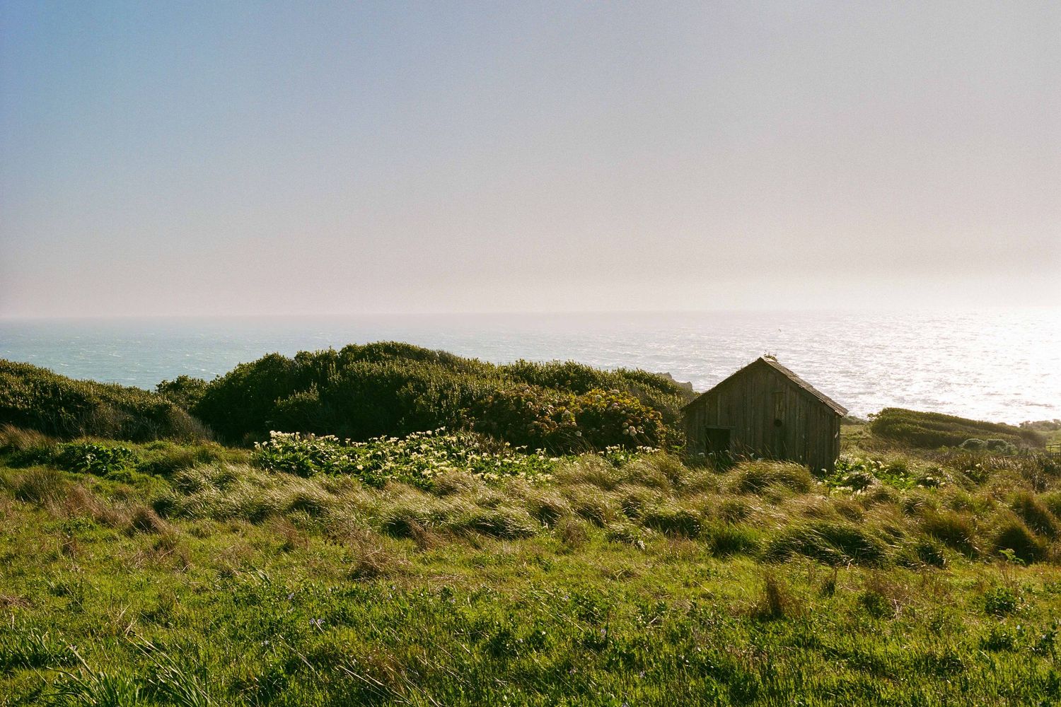 A rustic cabin sits on a green coastal hillside overlooking the Pacific Ocean on a hazy afternoon in Sea Ranch.