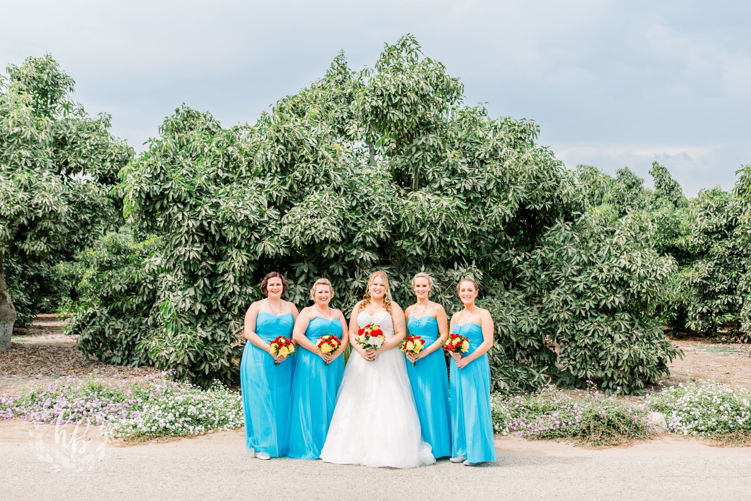 limoneira ranch wedding photos santa paula wedding wedding photographer