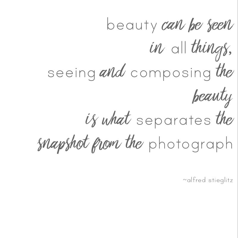 alfred steiglitz quote