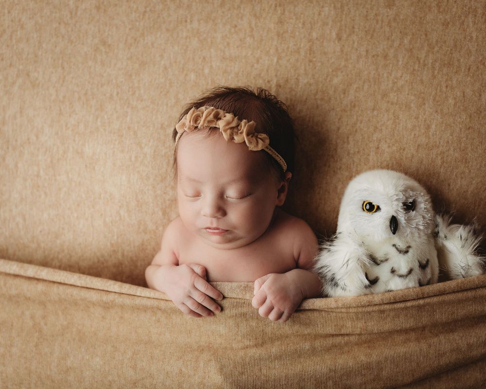 Professional newborn photo - Harry Potter theme