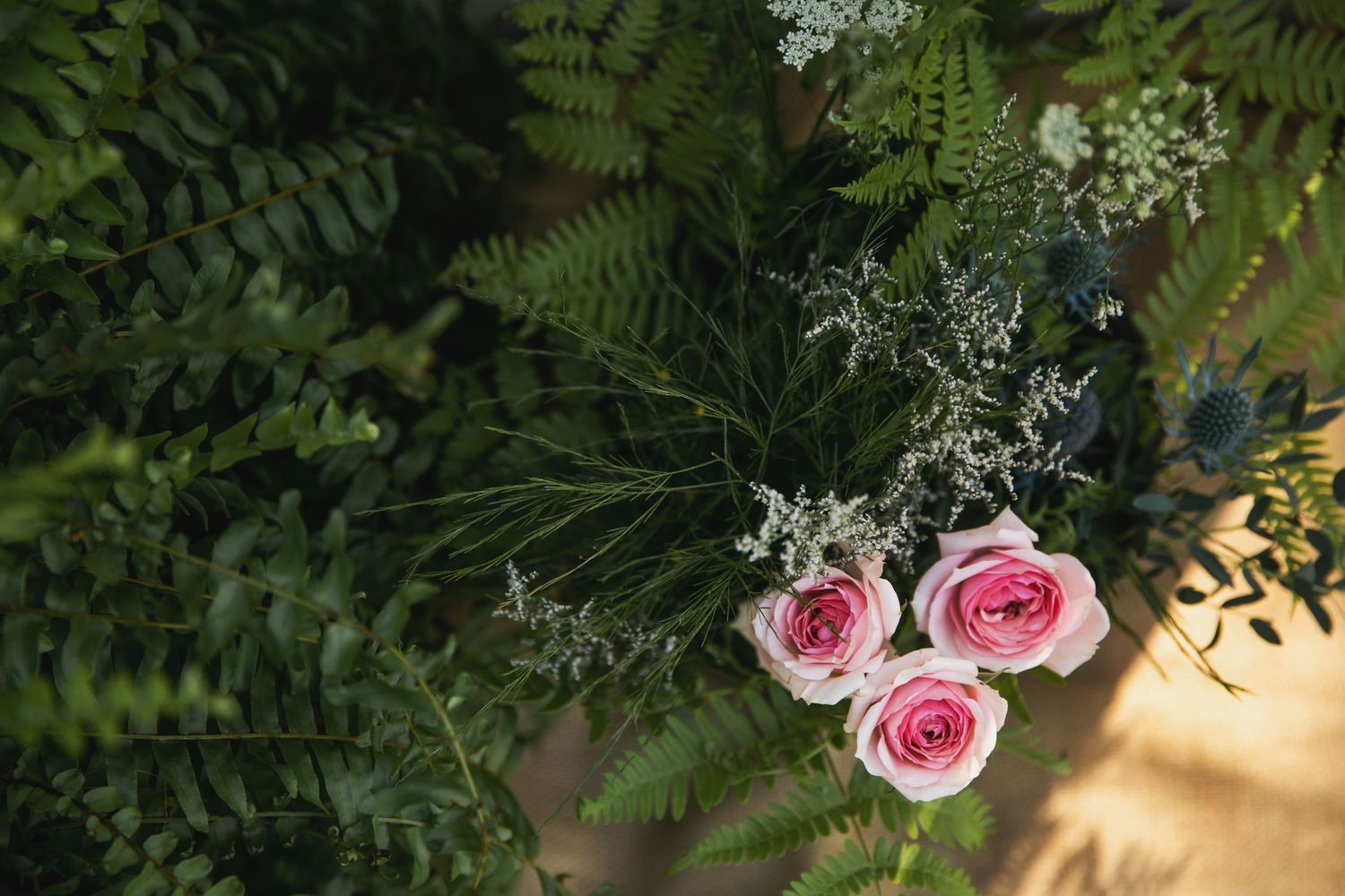 Charming rustic backyard wedding in Mount Brydges Ontario by London photographer Shawn Van Daele