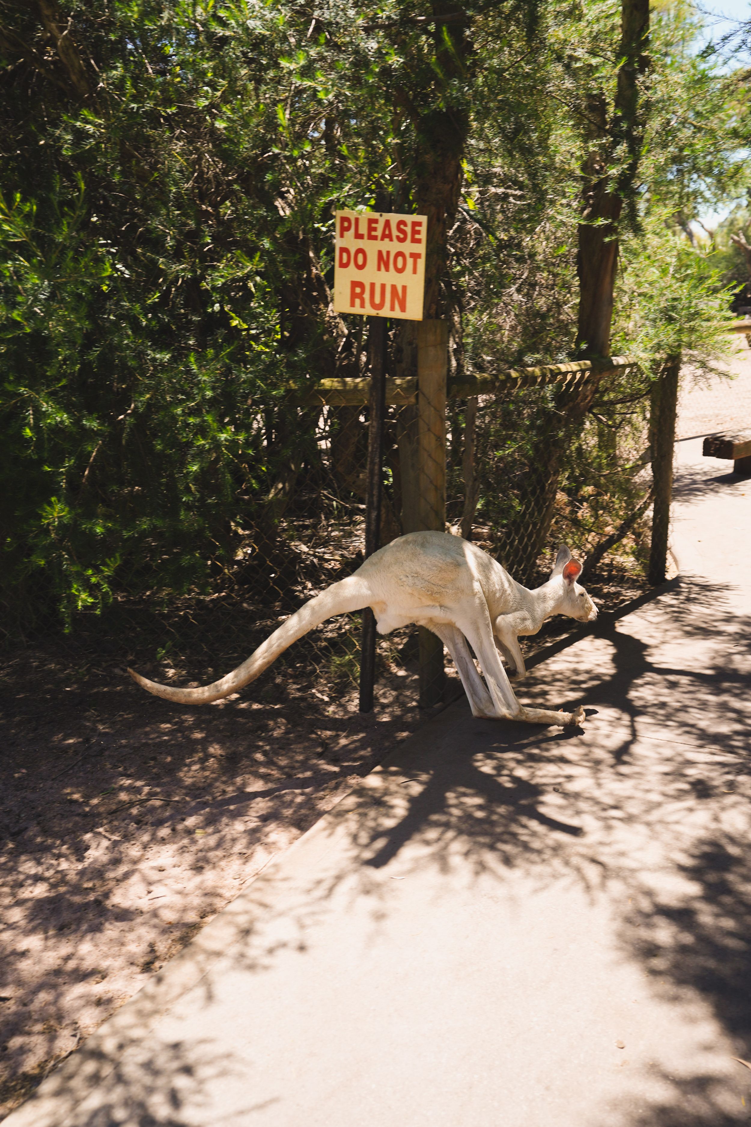 Western Australia Trip Perth Zoo