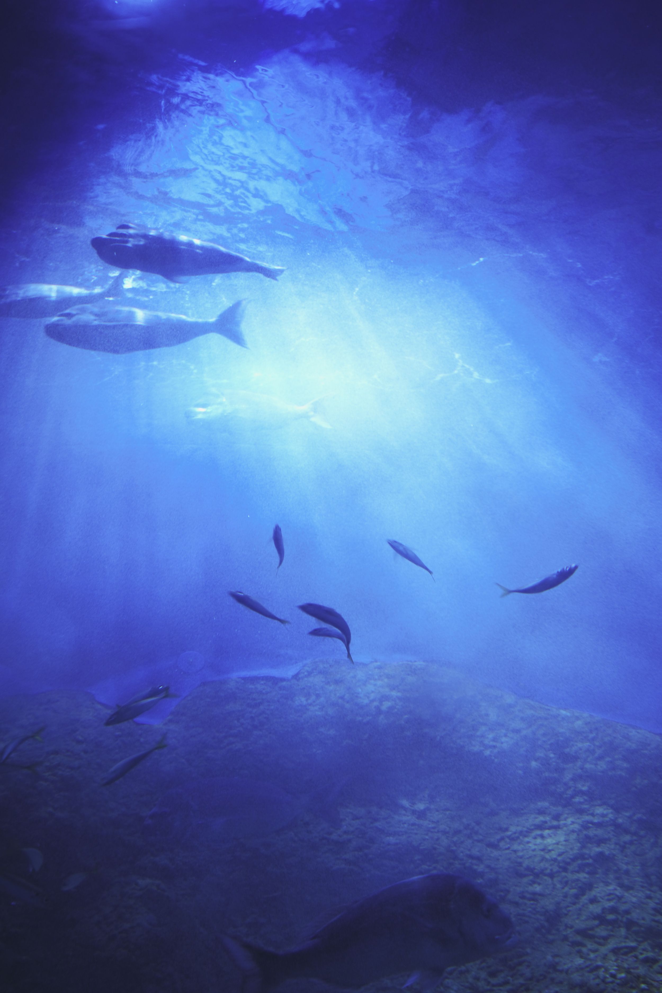 Western Australia Trip Perth Aquarium