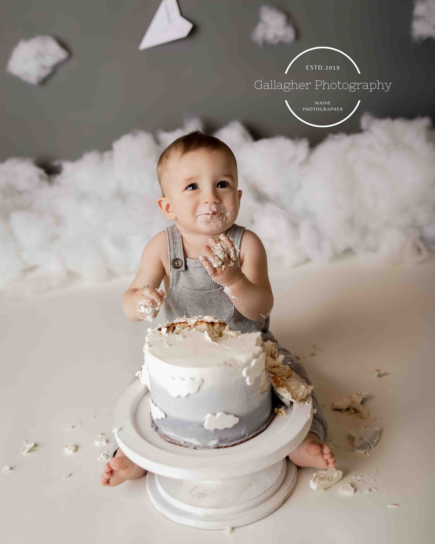 Professional milestone toddler cake smash photo