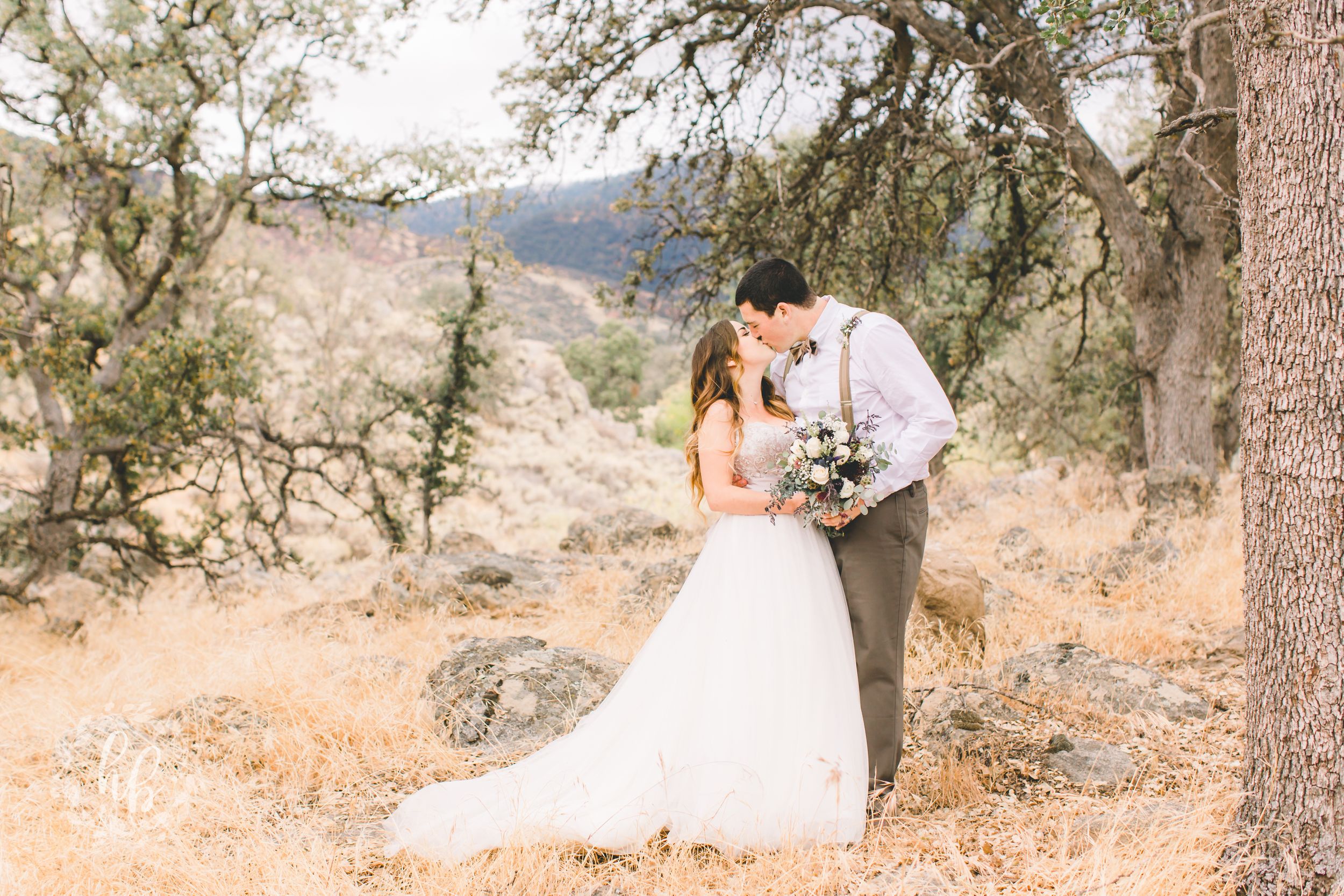 Dorner Family Vineyard Fall Wedding Los Angeles Wedding Photographer