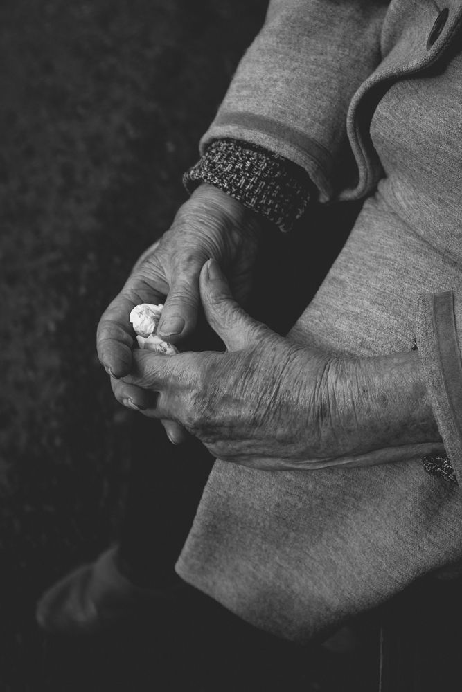 Aged hands holding something small while wearing knitted sleeves in monochrome.