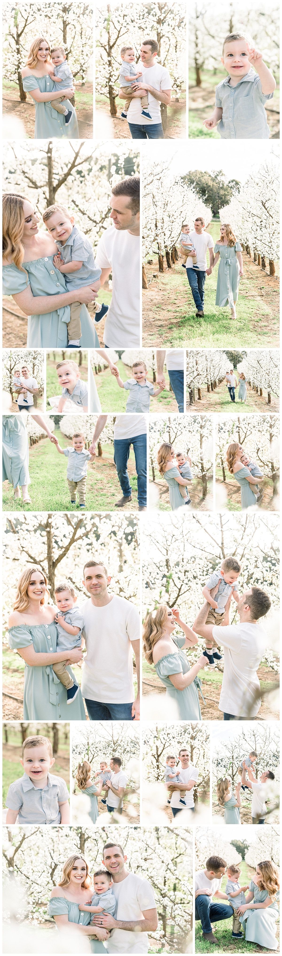 family-photos-perth-spring
